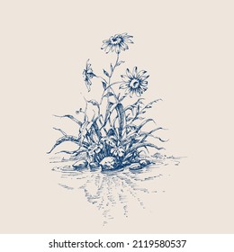 Spring flowers growing, water reflection hand drawing. Decorative graphic design element