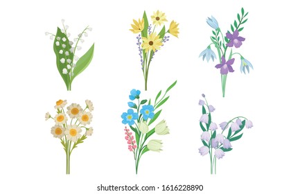 Spring Flowers Growth Vector Set. Colorful Garden and Wild Plants Growing in Spring