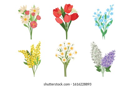 Spring Flowers Growth Vector Set. Colorful Garden and Wild Plants Growing in Spring
