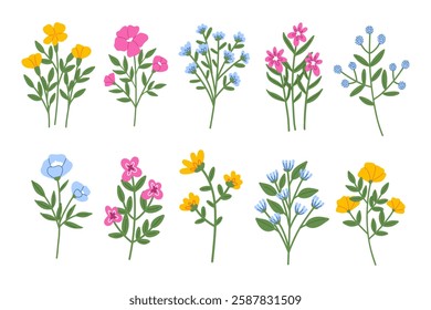 Spring flowers hand draw set collection. Various pink, yellow and blue flowers. 