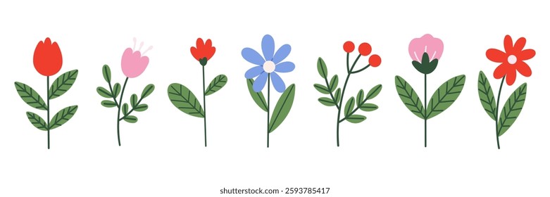 Spring flowers hand draw set collection. Various red, pink and blue flowers. 