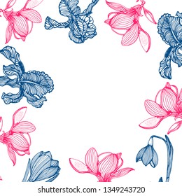 spring flowers, hand drawing, vector background, iris, Magnolia