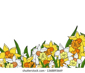 Spring flowers. Hand drawn narcissus. Floral frame. Vector design.