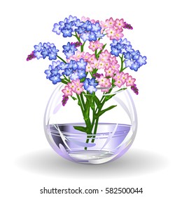Spring flowers. Hand drawn realistic vector illustration of blue and pink forget-me-not flowers (Myosotis, scorpion grass) in glass vase on white background.