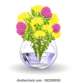 Spring flowers. Hand drawn realistic vector illustration on yellow dandelions and purple clover flowers  in glass vase on white background.