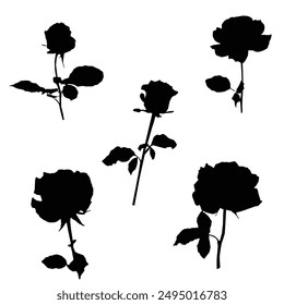 Spring flowers hand drawn vector set. Black ink brush textures. Grunge dry paint brushstrokes on white background. Roses, peonies, chrysanthemums isolated cliparts. Floral drawings collection.