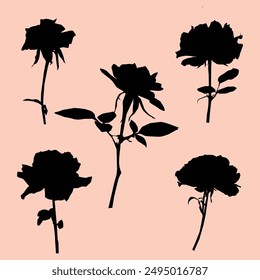 Spring flowers hand drawn vector set. Black ink brush textures. Grunge dry paint brushstrokes on white background. Roses, peonies, chrysanthemums isolated cliparts. Floral drawings collection.