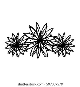 spring flowers icon image, vector illustration design