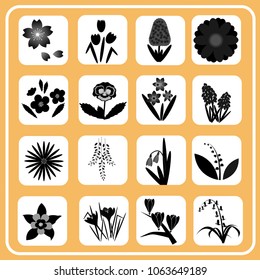 Spring flowers icon set, illustrator vector