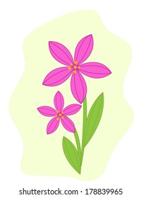 Spring flowers illustration vector