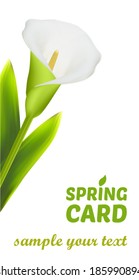 Spring flowers invitation brochure template card layout.