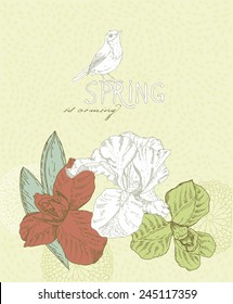 Spring flowers. Iris flower. Greeting Card for March 8. Poster with flowering plants in doodle vintage style. Sketch. Hipster blossom design.