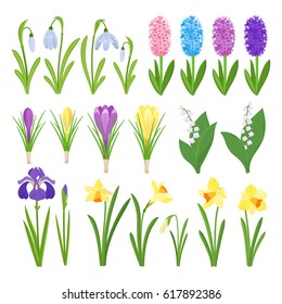 Spring flowers. Irises, lilies of valley,  narcissus, crocuses, snowdrops. Garden design icons isolated on white background. Cartoon style vector illustration