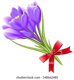 Spring flowers isolated on white background.