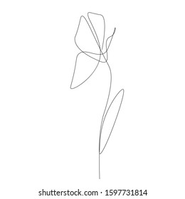 Spring flowers isolated on white background. Line drawing. Vector illustration	