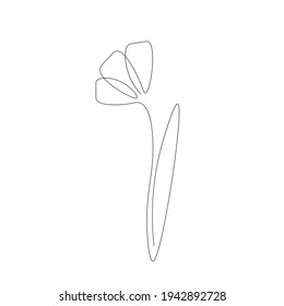 Spring flowers isolated on white background. Continuous line drawing. Vector illustration	