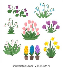Spring flowers isolated set in flat cartoon design. Bundle of first field wildflowers, violet, tulip, hyacinth, narcissus, scilla, saffron, lily of the valley, snowdrops. Vector botanical illustration