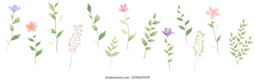 Spring Flowers And Isolated White Background , Vector Illustration