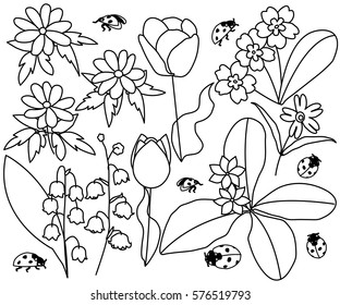 Spring flowers and ladybirds set vector illustration