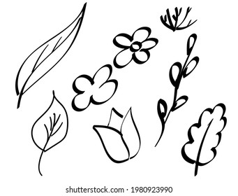 flores de primavera y hojas conjunto de iconos dibujados a mano diseño de ilustración vectorial.
