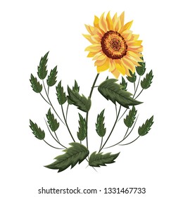 Spring flowers with leaves