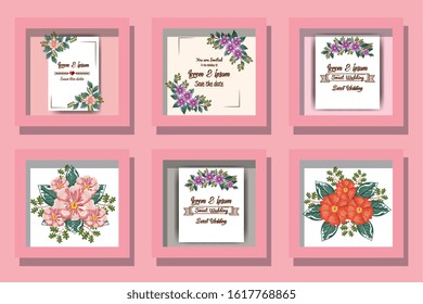 Spring flowers and leaves set over pink background design, Natural floral nature plant ornament garden decoration and botany theme Vector illustration