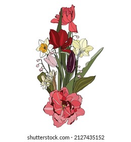 Spring Flowers. Leaves, wildflowers, twigs, floral arrangements and designer hand drawn elements. Tulip. Daffodils.  Convallaria (lily of the valley).