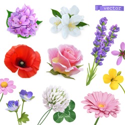 Spring Flowers. Lilac, Jasmine, Poppy, Rose, Lavender, Clover, Chamomile. Vectorized Image. Miscellaneous 3d Realistic Vector Objects. Nature Icon Set