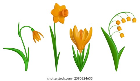 Spring flowers lily of valley, crocus, narcissus, snowdrop with yellow buds in 3d vector style. Set realistic botanical elements. Collection plants illustration.