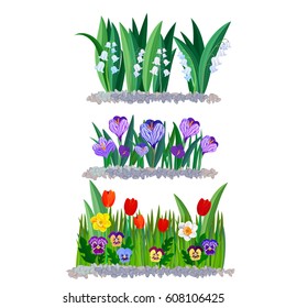 Spring flowers lily of the valley, crocus and tulips borders elements isolated on white.