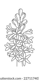 Spring flowers line art Contemporary floral design. Vector illustration