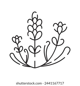 Spring flowers line icon. Forest fern eucalyptus art foliage natural leaves herbs. Decorative beauty elegant illustration for design hand drawn flower
