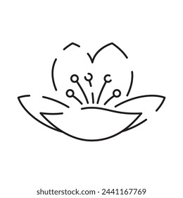 Spring flowers line icon. Forest fern eucalyptus art foliage natural leaves herbs. Decorative beauty elegant illustration for design hand drawn flower