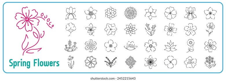 Spring flowers line icons set. Forest fern eucalyptus art foliage natural leaves herbs. Decorative beauty elegant illustration for design hand drawn flower