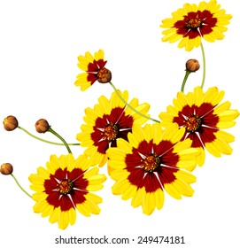 spring flowers. march 8
