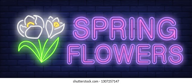 Spring flowers neon text with snowdrops. Spring season design. Night bright neon sign, colorful billboard, light banner. Vector illustration in neon style.