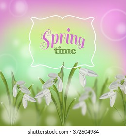 Spring flowers on a beautiful background. Snowdrops. Spring time. Vector