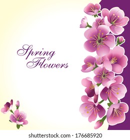 Spring flowers on a beige background