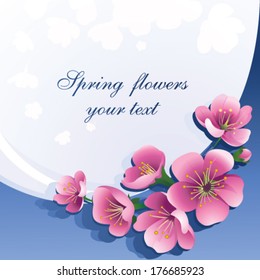 Spring flowers on a blue background 