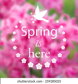 Spring flowers on blurry background for card
