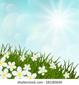 Spring flowers on green grass