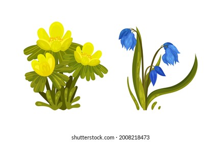 Flores de primavera sobre la semilla verde como conjunto de vectores estacionales de crecimiento de botánica