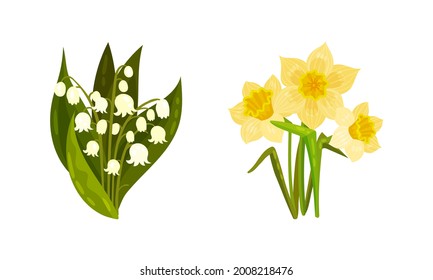 Spring Flowers on Green Stem as Seasonal Botany Growing Vector Set