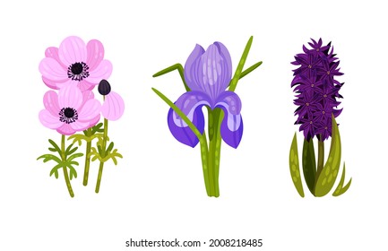Frühlingsblumen auf grünem Stem als saisonaler, florierender Vektor-Set für Botanik
