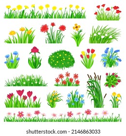 Spring flowers on meadow. Springtime, green grass and wild flower bouquets. Pansy chamomile, tulips growth in garden lawn. Neoteric vector nature landscape elements