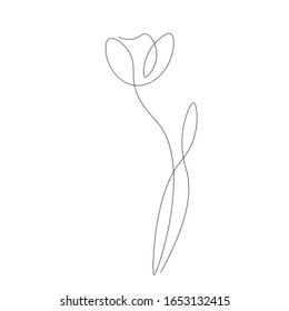 Spring flowers on white background vector illustration	
