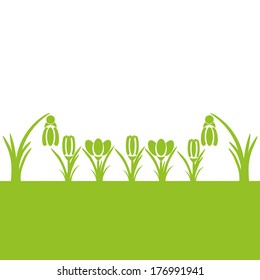 Spring flowers as a paper cut, snowdrops, crocuses, green in spring, with White Background.