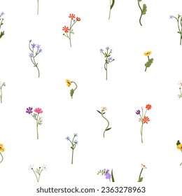 Spring flowers pattern. Seamless botanical floral background. Field plants, delicate wildflowers. Nature repeating print. Colored printable flat graphic vector illustration for wallpaper, fabric