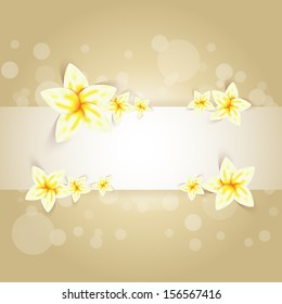 Spring flowers with place for text. Useful as background for farm, spring, bio, eco, pharmacy business.