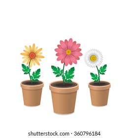 Spring flowers in plant pots. Isolated on white background. Daisies, camomille. Vector illustration.
